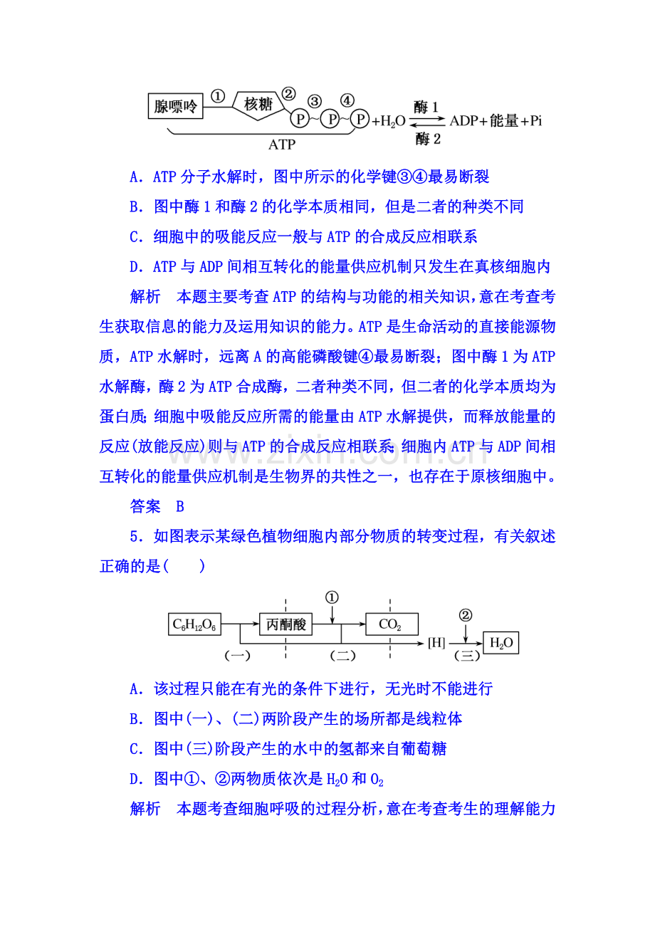 2018届高考生物第一轮复习检测1.doc_第3页