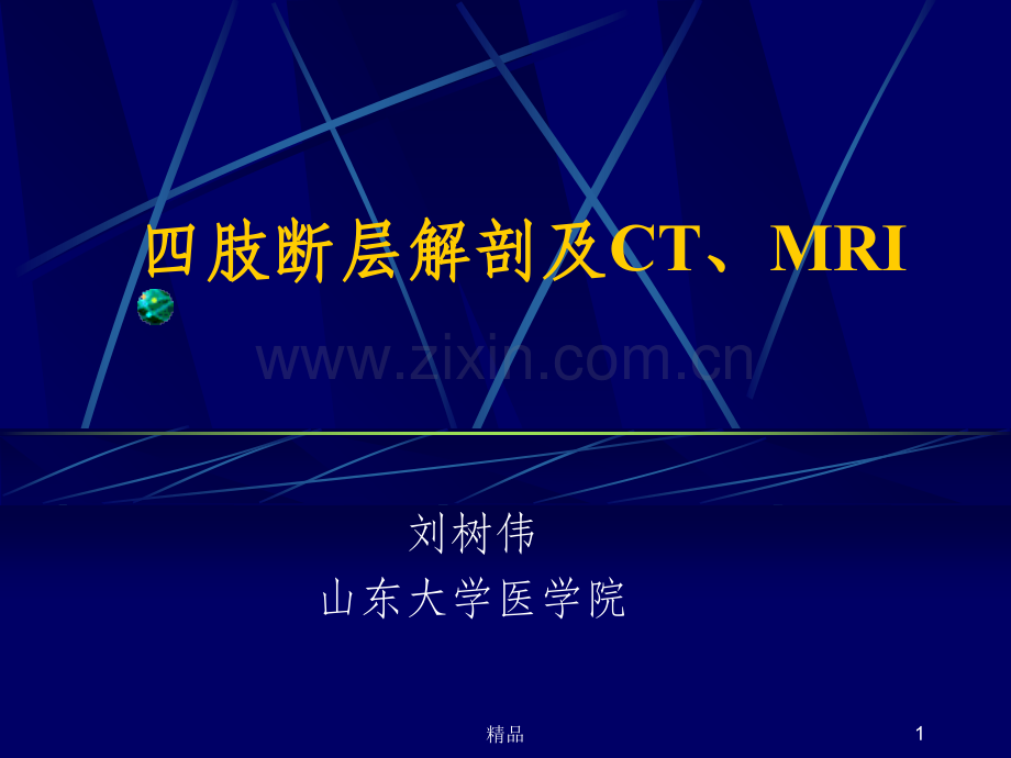 四肢断层解剖及CT、MRI.ppt_第1页