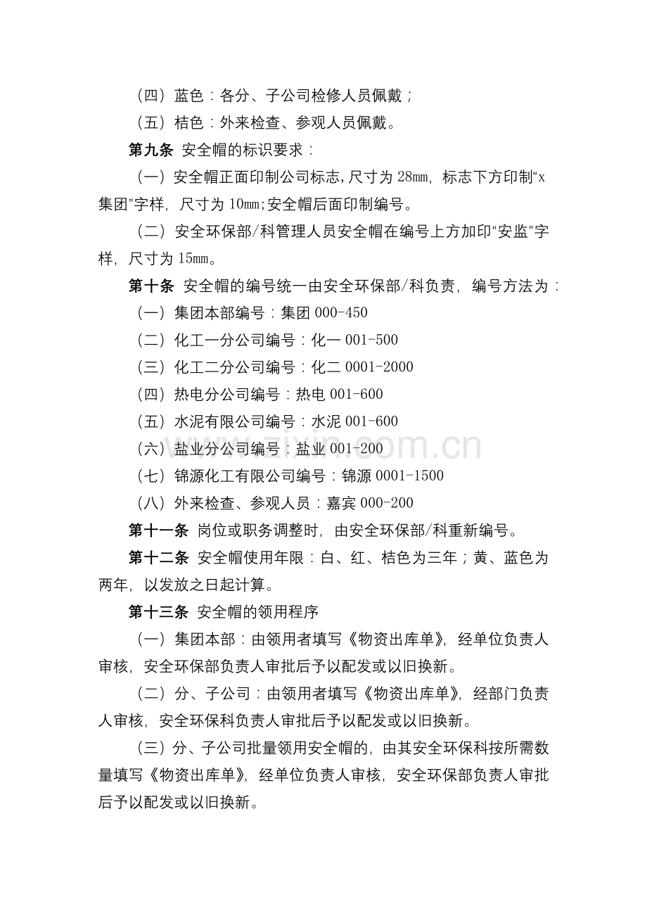 化工集团公司安全帽管理办法(试行)模版.docx_第2页