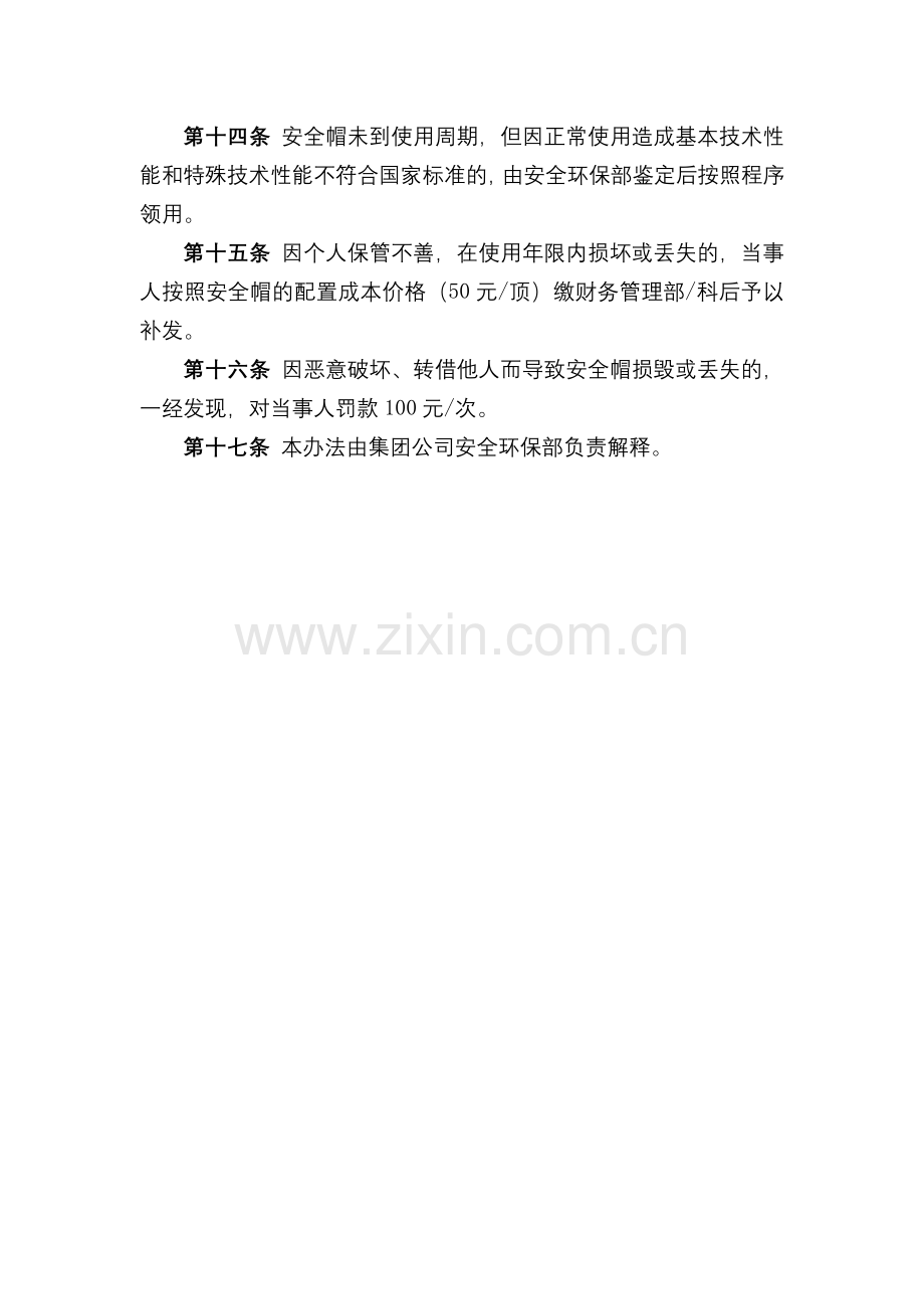 化工集团公司安全帽管理办法(试行)模版.docx_第3页