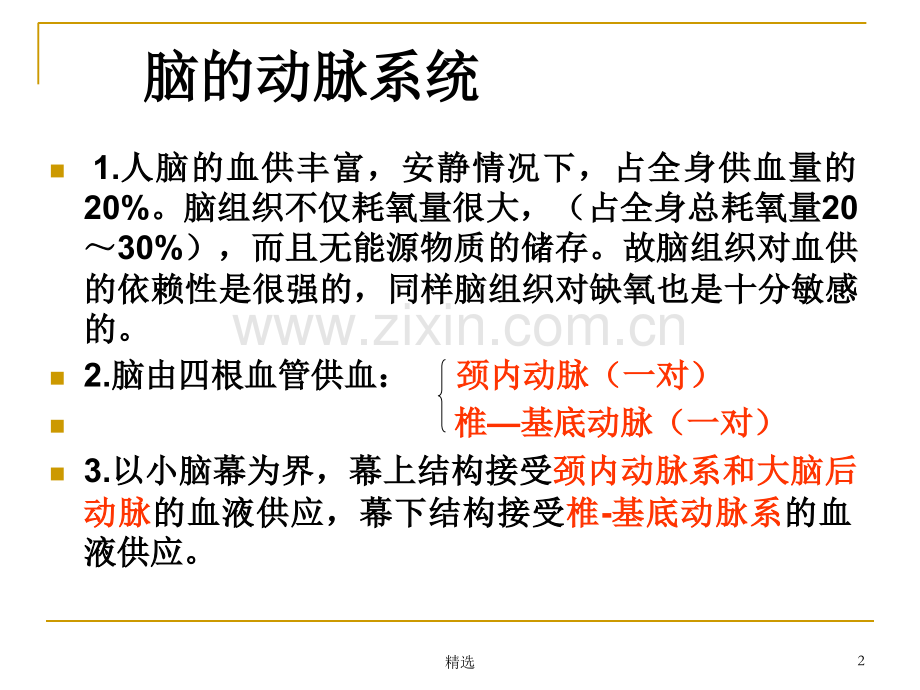 脑的血液供应.ppt_第2页