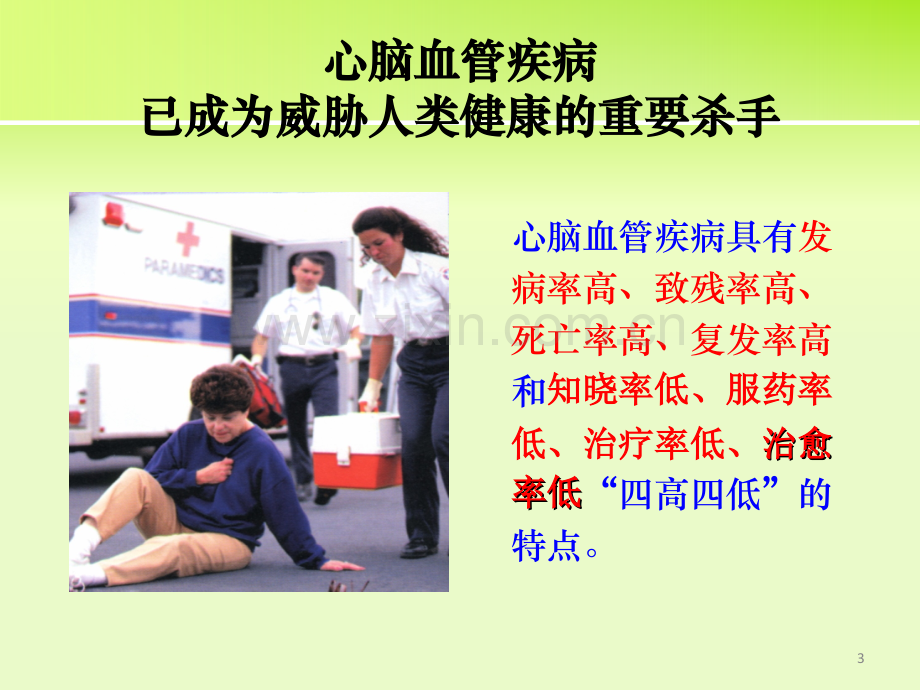 心脑血管疾病精讲.ppt_第3页