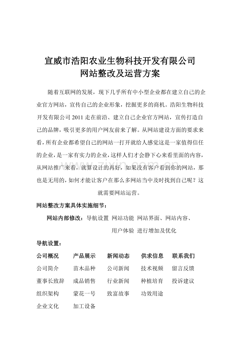 公司网站整改及运营方案.doc_第3页