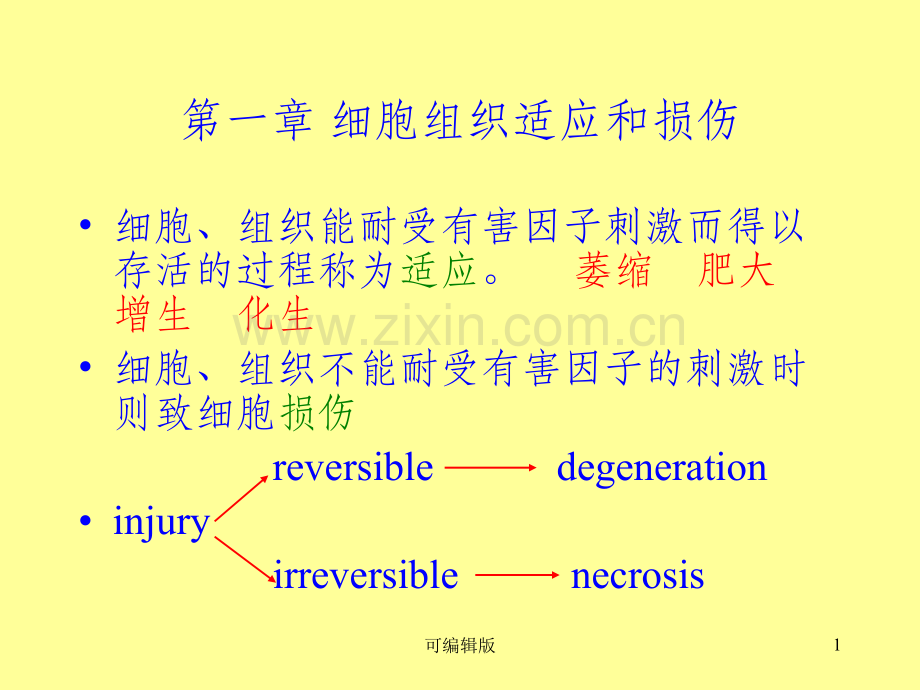 细胞组织适应和损伤.ppt_第1页