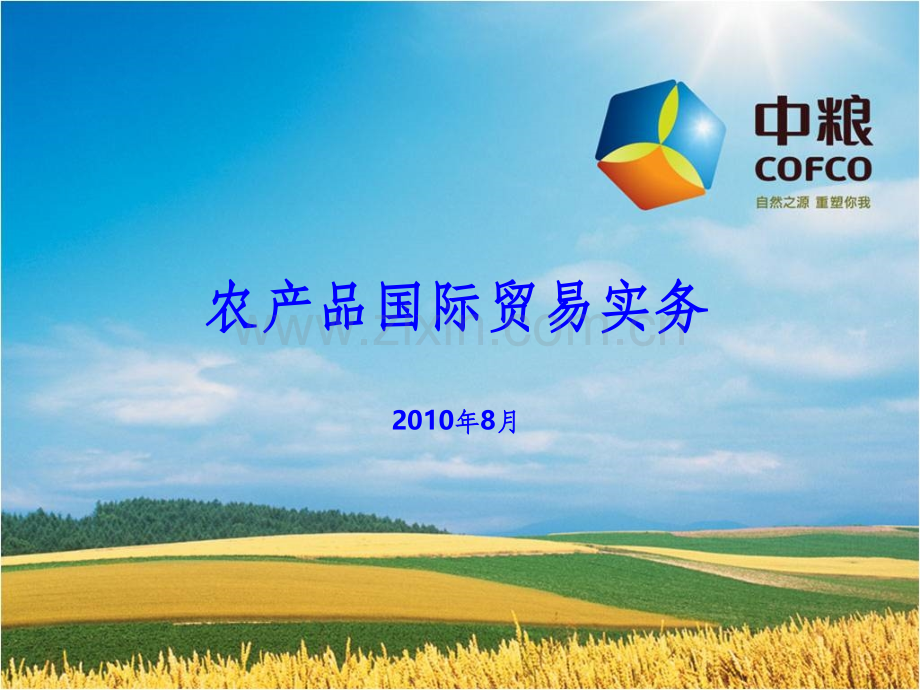 大豆国际贸易实务.ppt_第1页