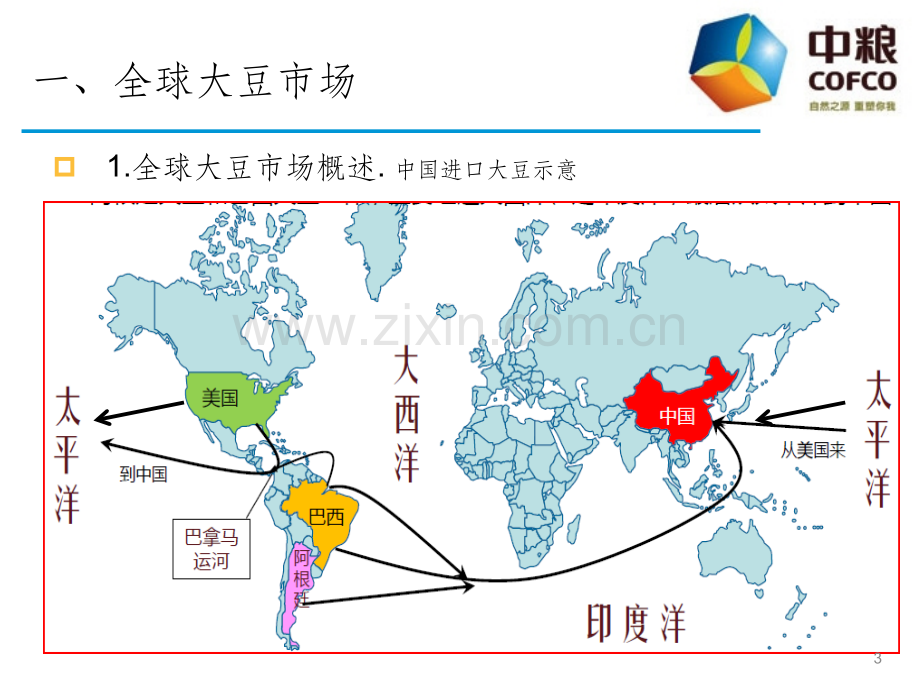 大豆国际贸易实务.ppt_第3页