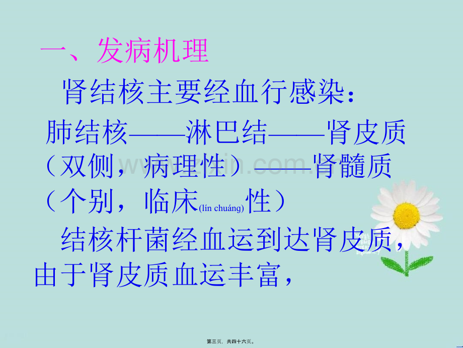 泌尿系及男性生殖系结核.ppt_第3页