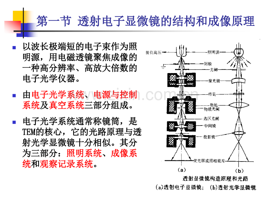 第七章材料分析方法TEM.ppt_第2页