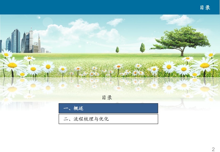 XX银行流程体系优化方案.pptx_第2页