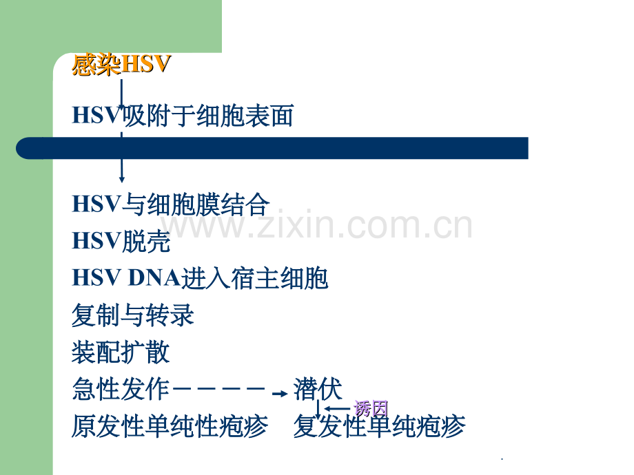 口腔粘膜感染性疾病.ppt_第3页