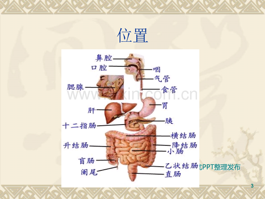 胃病课题.ppt_第3页