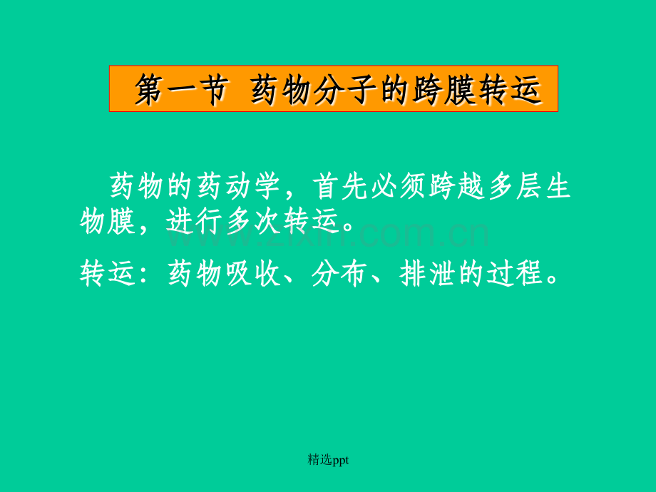 药理学第七版(三).ppt_第3页