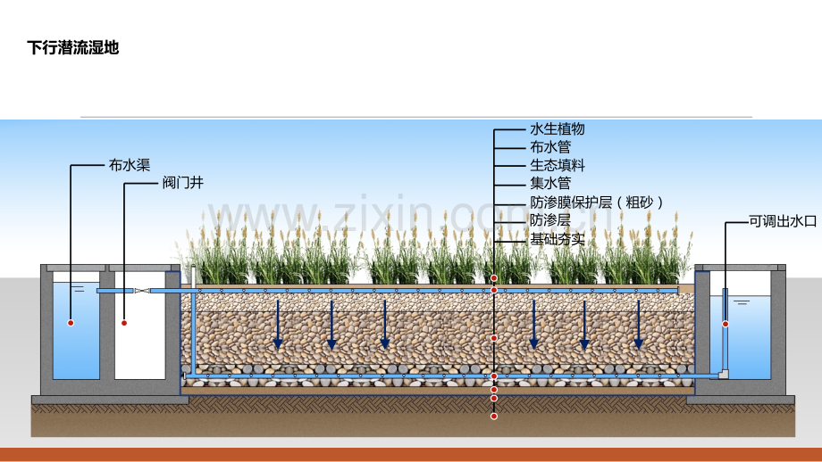 几种常用潜流人工湿地剖面图.ppt_第3页