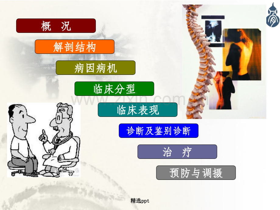 腰椎间盘突出症-内容(1).ppt_第2页