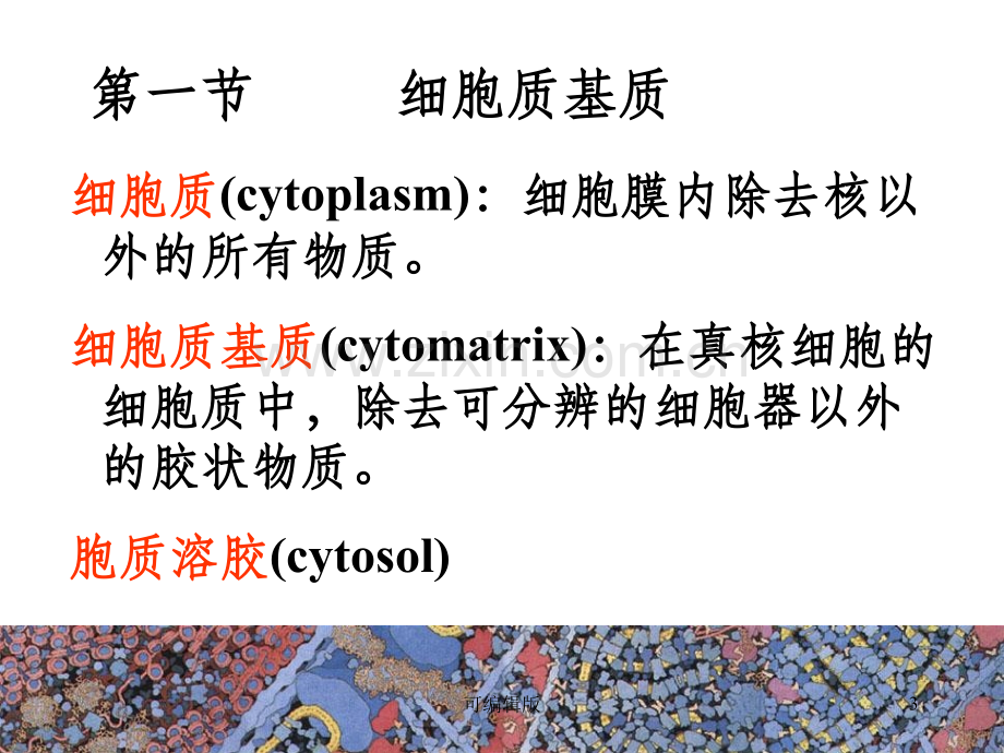 细胞质基质与细胞内膜系统(1).ppt_第3页