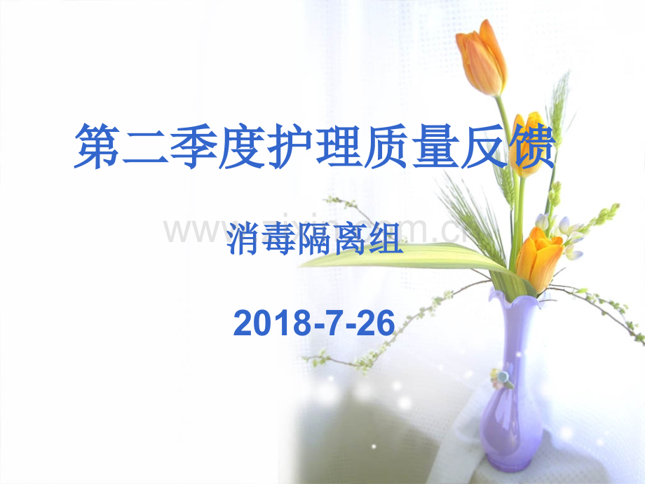 2018年第2季度护理质量反馈消毒隔离组.ppt_第1页