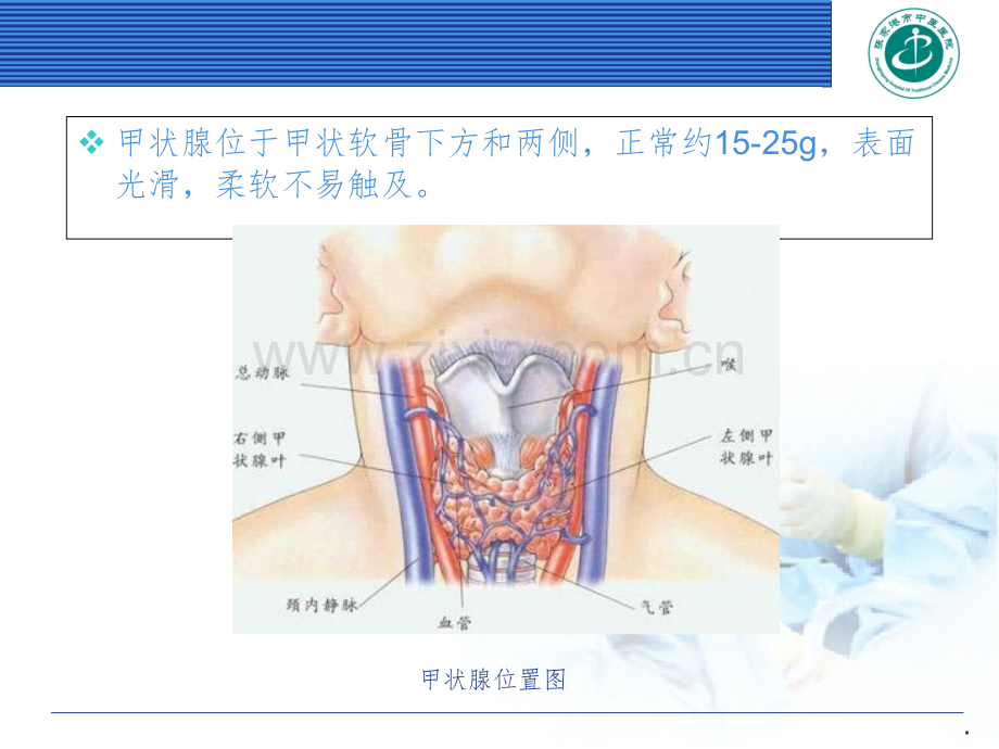 甲状腺专科体格检查.ppt_第3页