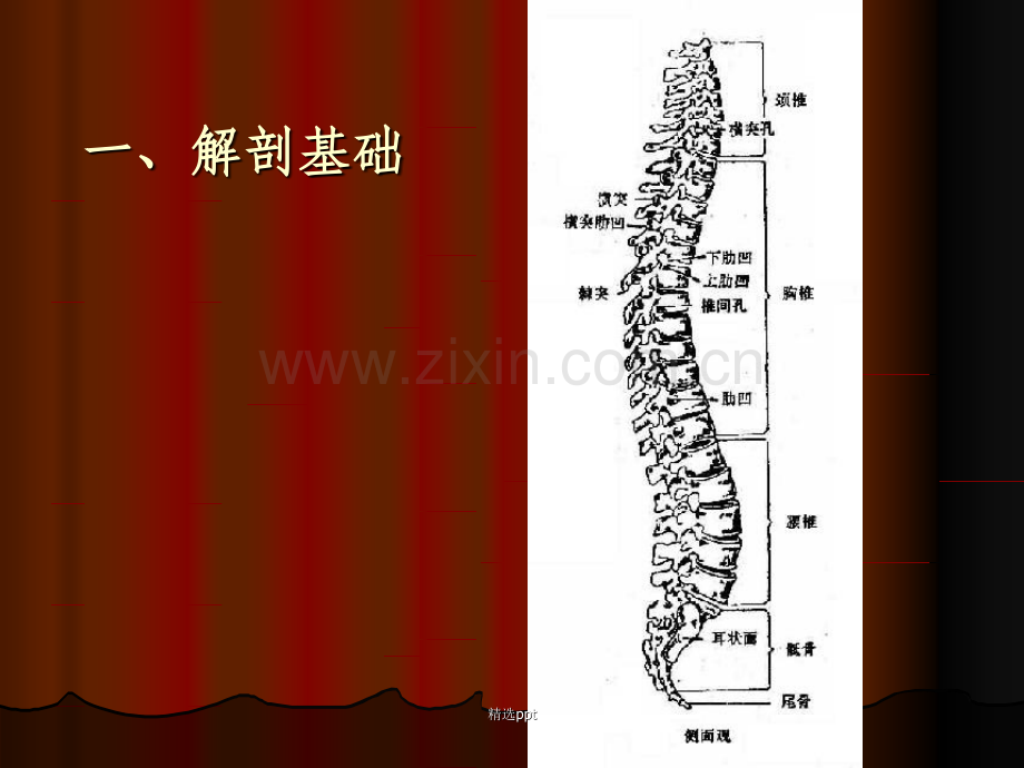 腰腿痛的针灸治疗.---.ppt_第3页