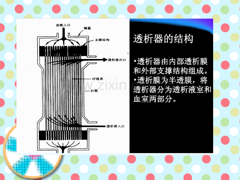 透析器破膜的预防与处理.ppt_第3页