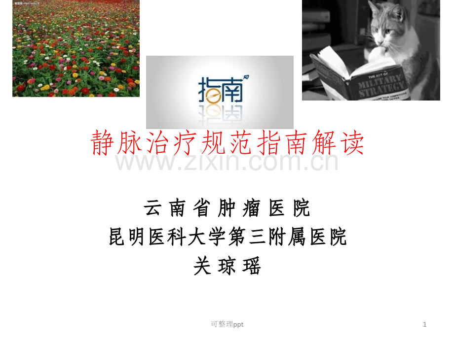 moh静脉输液治疗规范解读.ppt_第1页