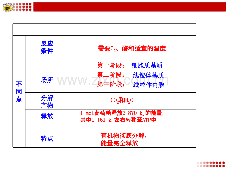 有氧呼吸与无氧呼吸的比较.ppt_第1页