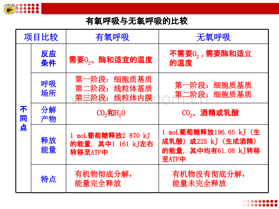 有氧呼吸与无氧呼吸的比较.ppt_第2页