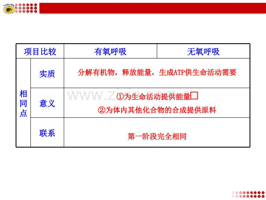 有氧呼吸与无氧呼吸的比较.ppt_第3页