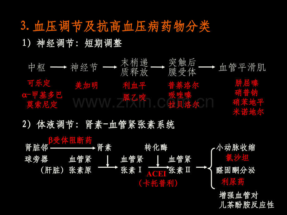 药理学完整之抗高血压药.ppt_第3页