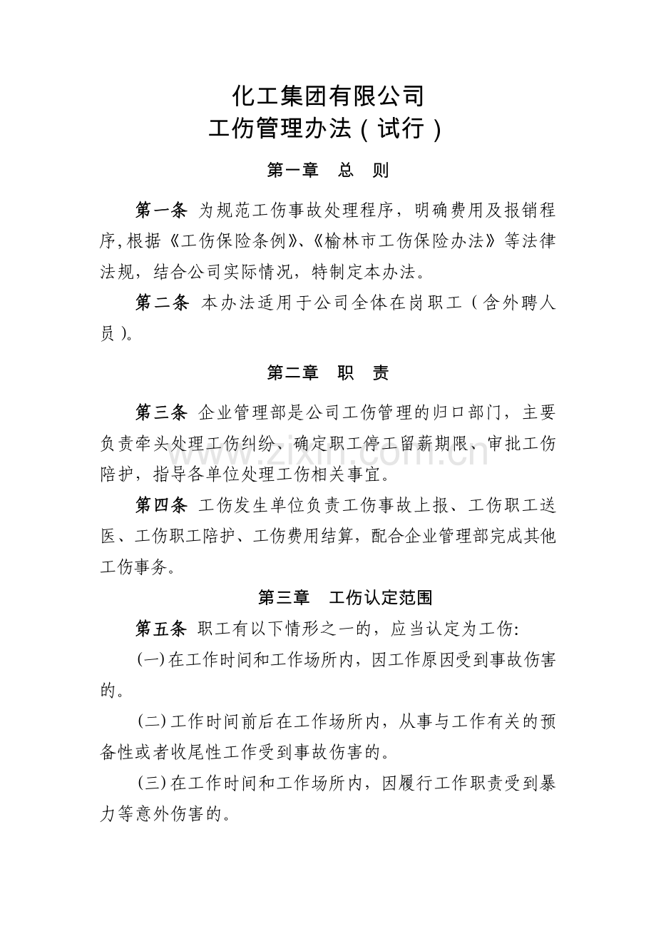 化工集团公司工伤管理办法(试行)模版.docx_第1页