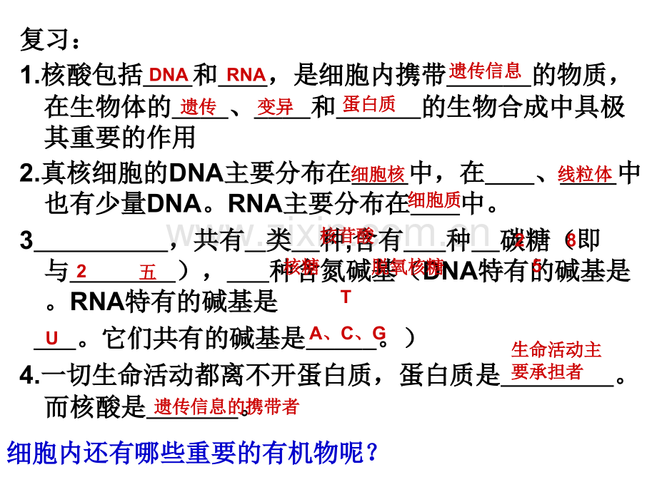 细胞中的糖类和脂质t.ppt_第1页