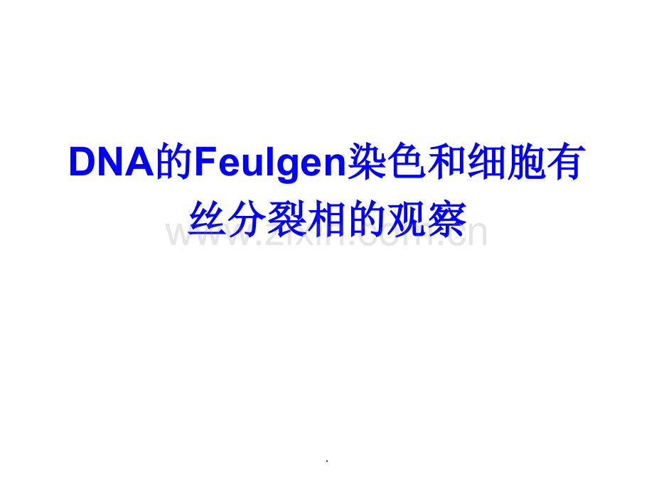 DNA的Feulgen染色法.ppt_第1页