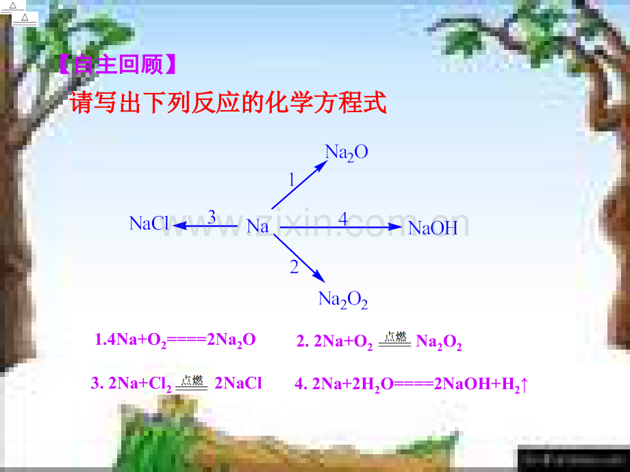 氧化钠与过氧化钠.ppt_第3页