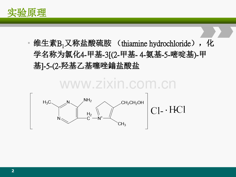 维生素B片含量测定的方法验证.ppt_第2页