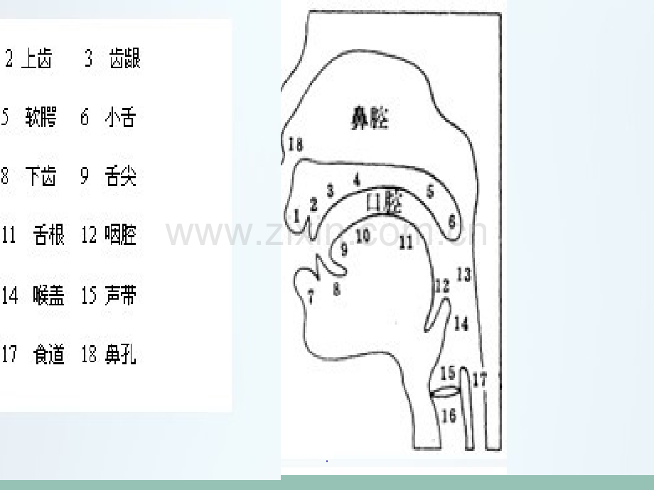 少儿口才第一课.ppt_第2页