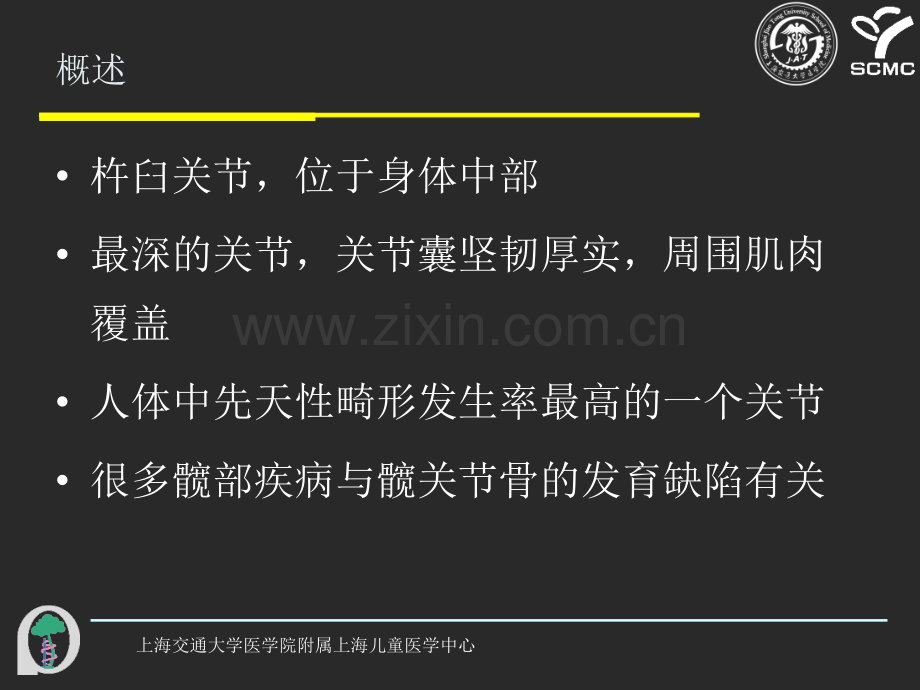 髋关节解剖.ppt_第3页