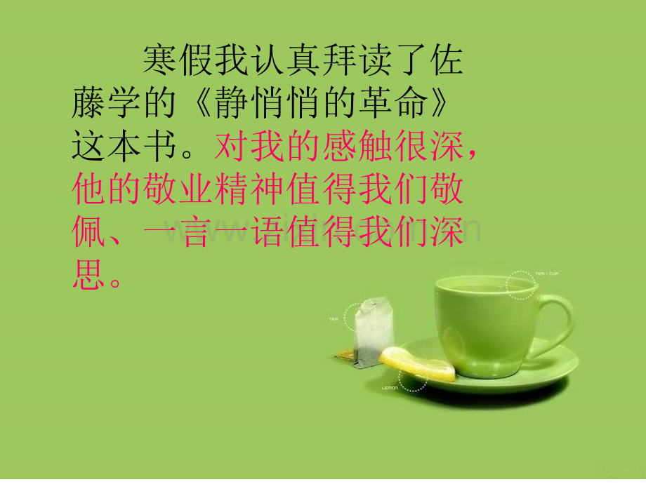 《静悄悄的革命》读后感.ppt_第2页