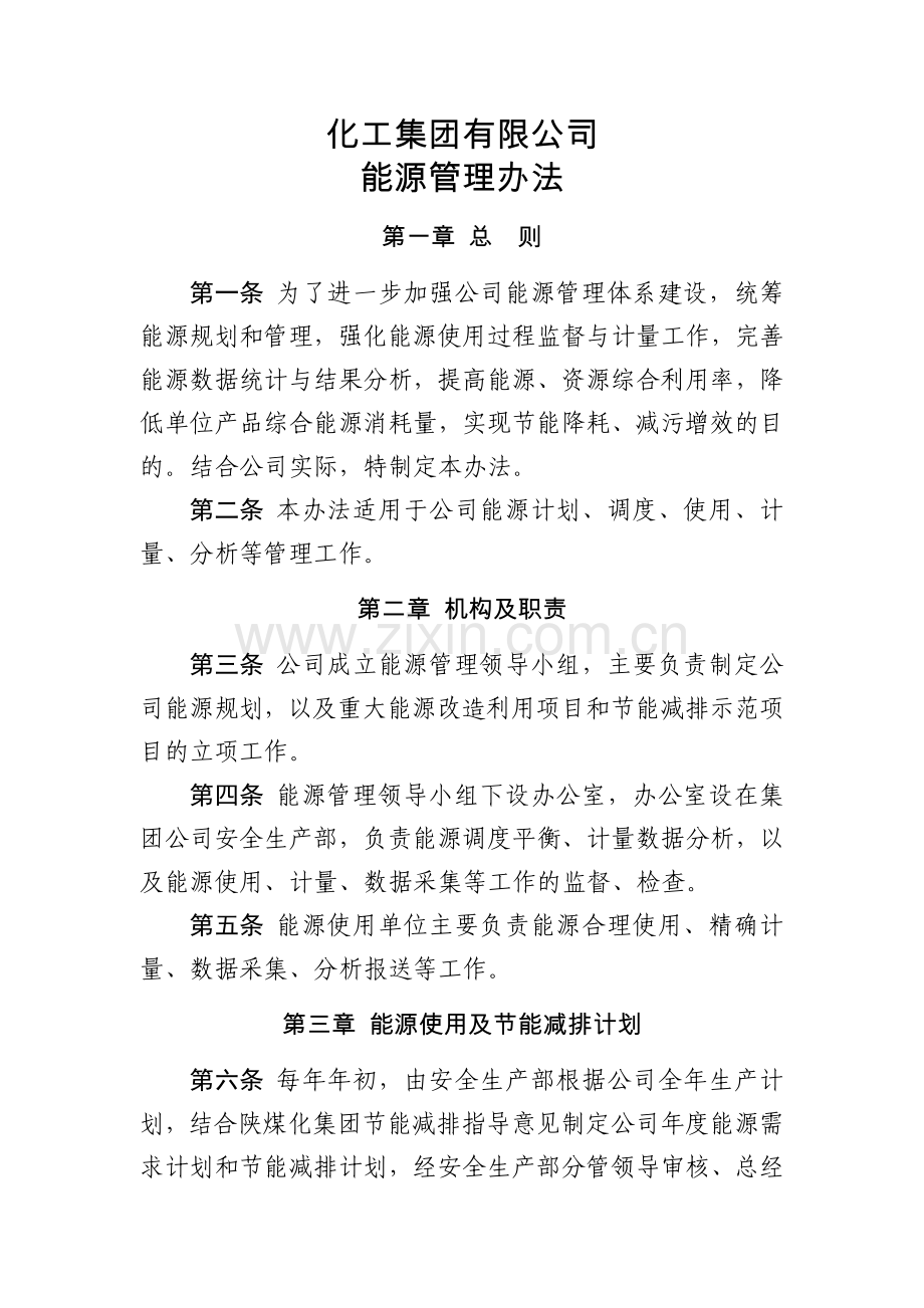 化工集团公司能源管理办法模版.docx_第1页