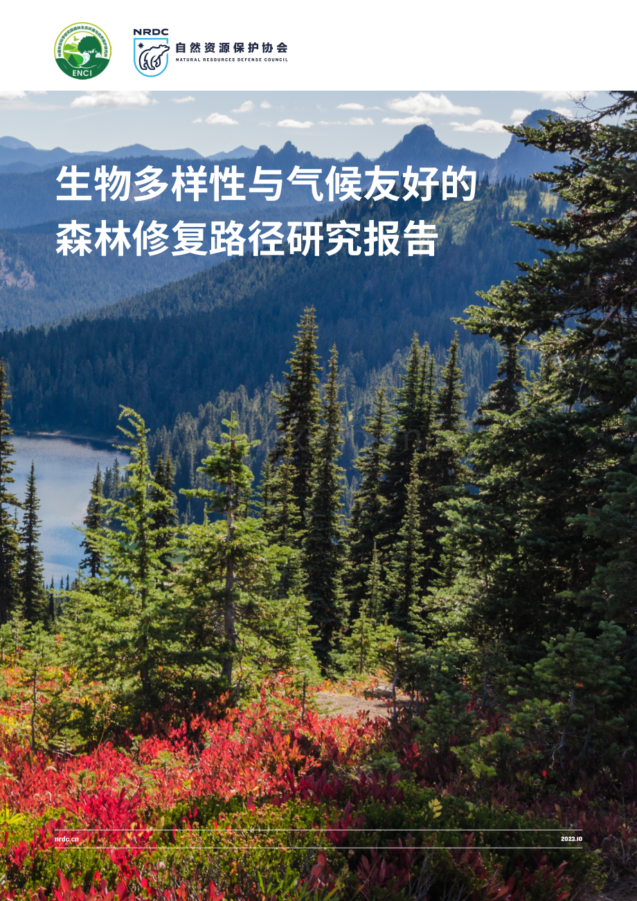 生物多样性与气候友好的森林修复路径研究.pdf_第1页