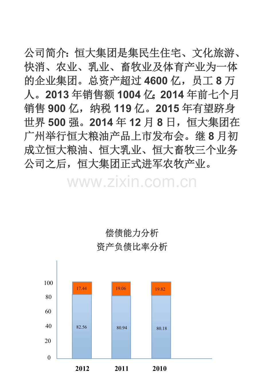 恒大地产集团财务报表分析.doc_第3页