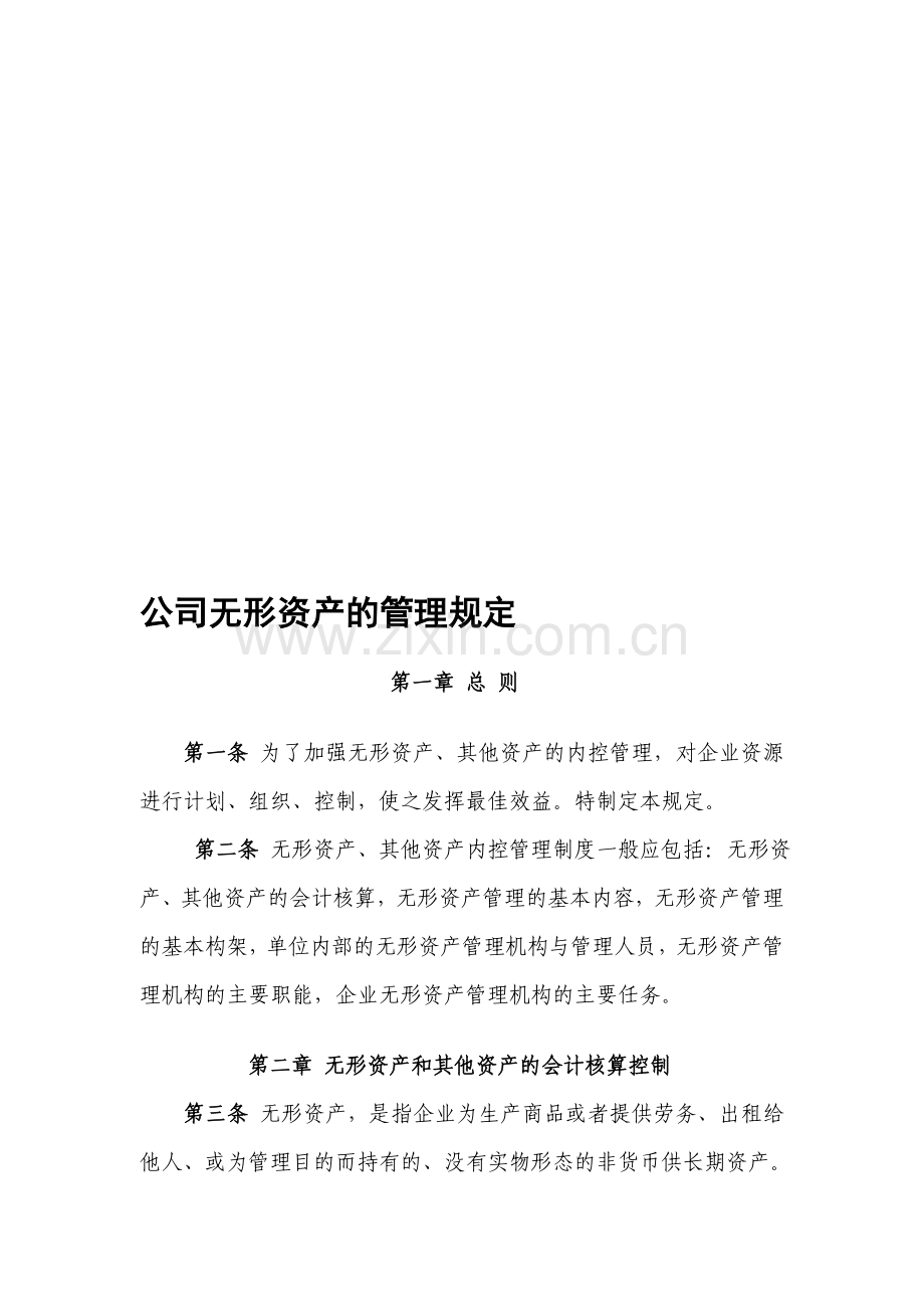 公司无形资产内控管理制度.doc_第1页