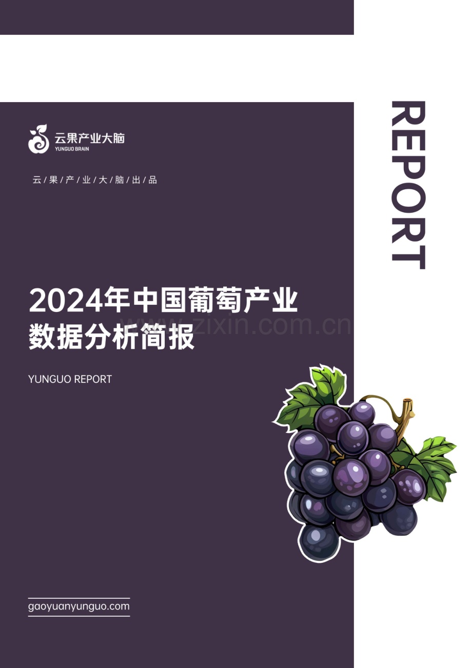 2024年中国葡萄产业数据分析简报.pdf_第1页