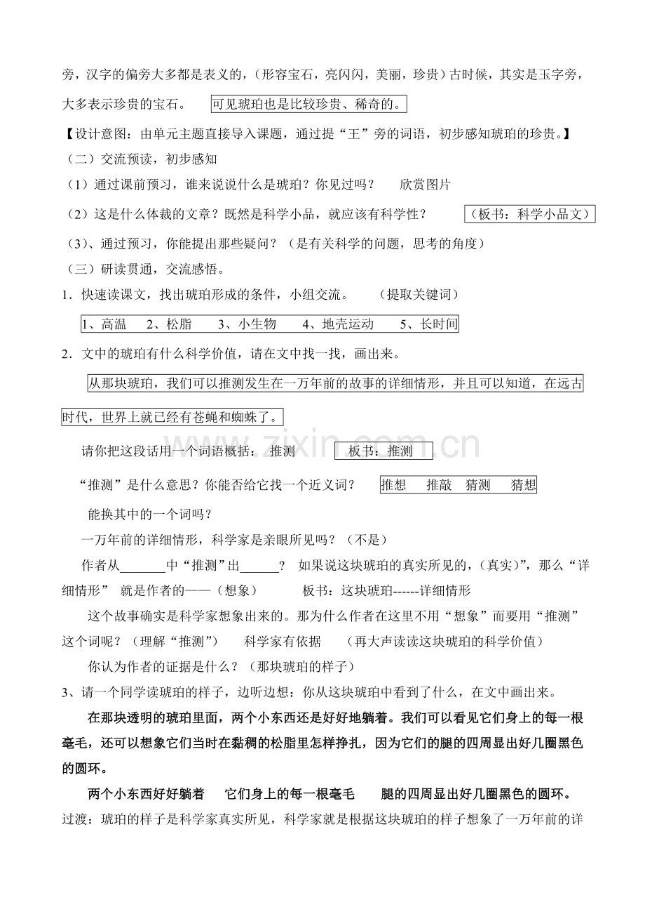 《琥珀》教学设计.doc_第2页