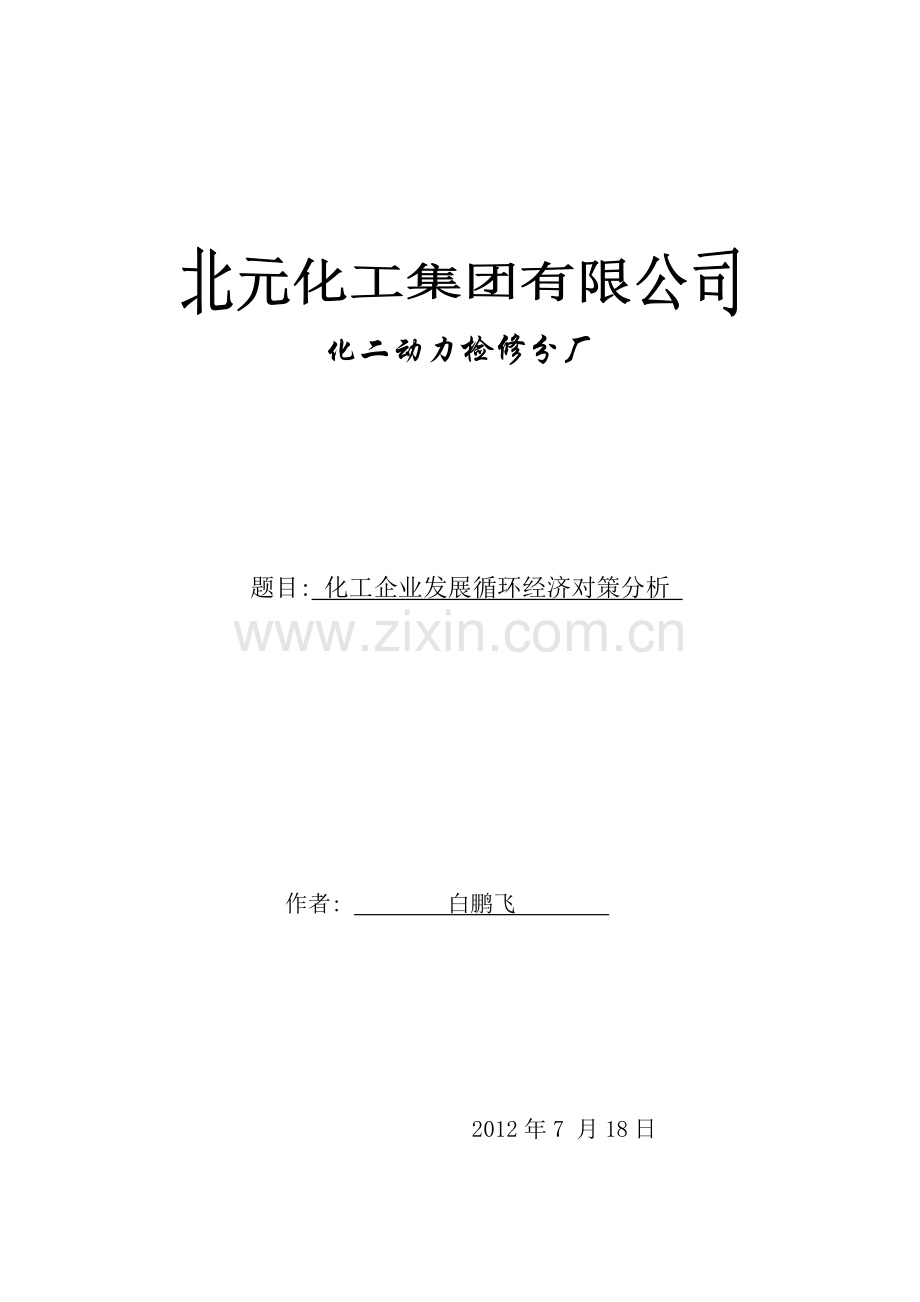 化工企业发展循环经济对策分析-烧碱-白鹏飞.doc_第1页