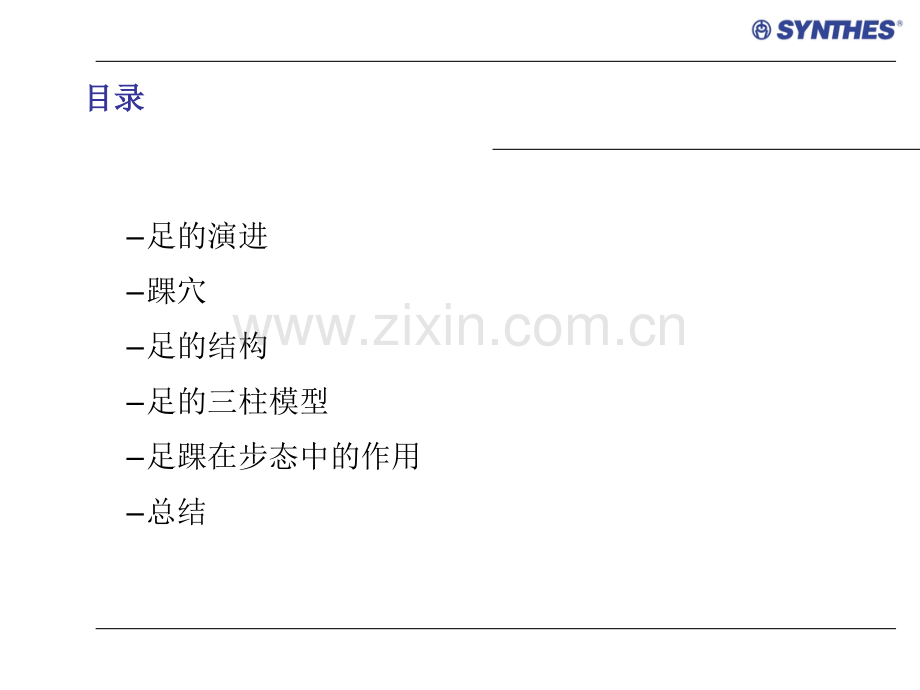 足踝部解剖与生物力学.ppt_第2页