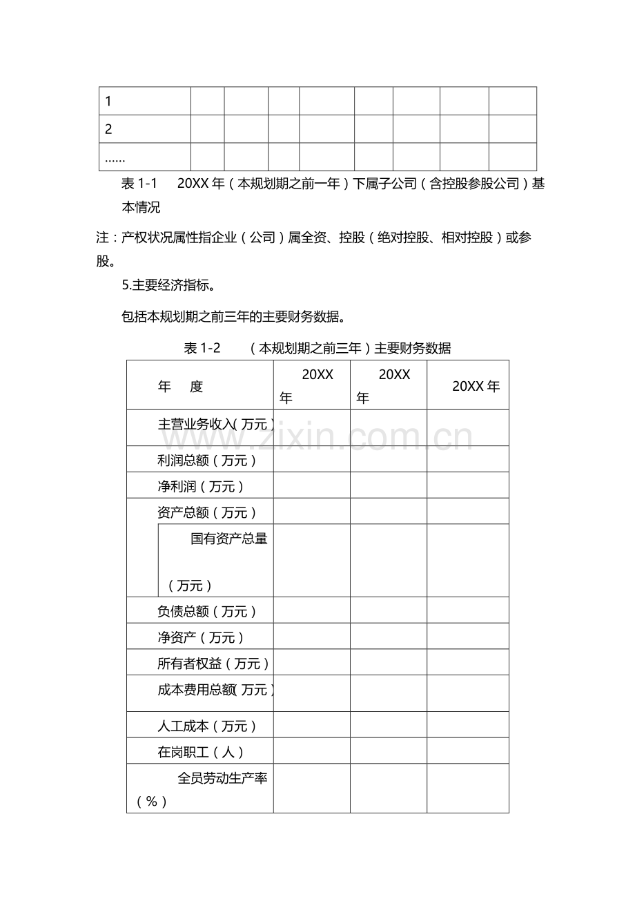 国有公司子公司战略规划编制指导大纲-模版.docx_第2页