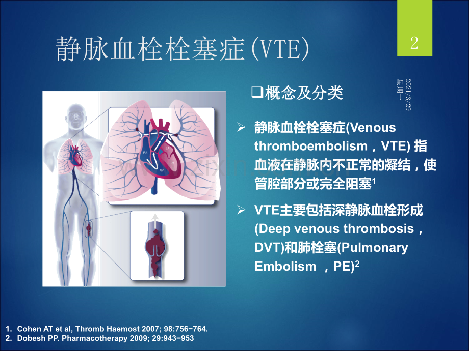 VTE的预防与治疗.ppt_第2页