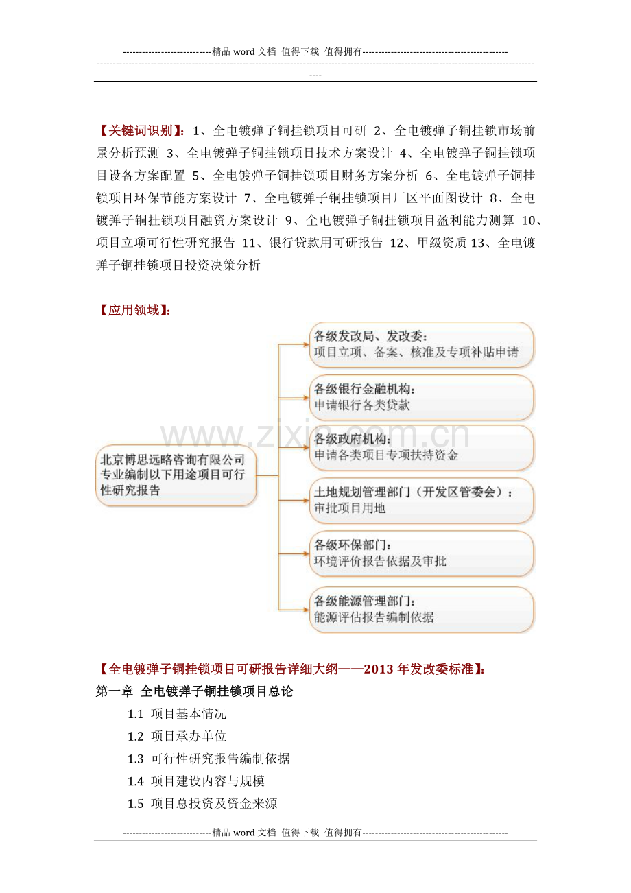 如何设计全电镀弹子铜挂锁项目可行性研究报告(技术工艺-设备选型-财务概算-厂区规划)投资方案.docx_第2页