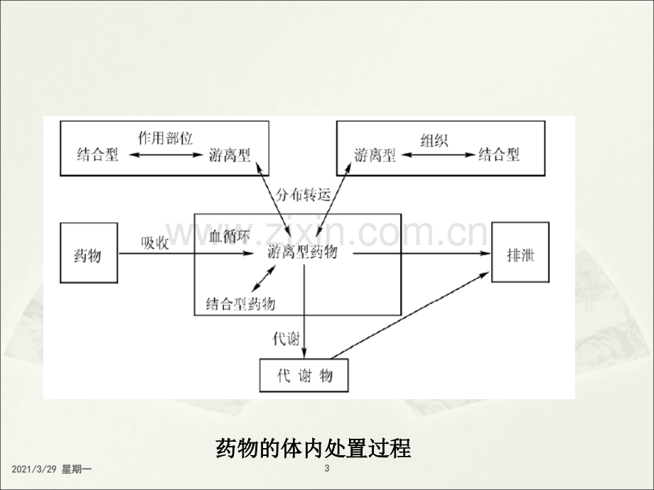 第四章-房室模型(药物代谢动力学).ppt_第3页