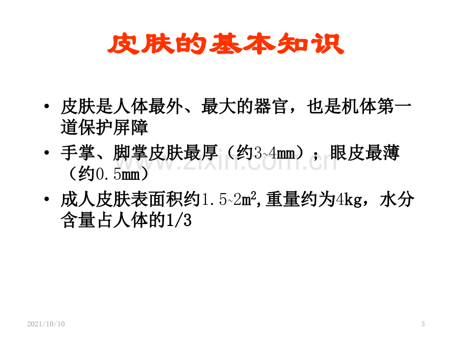 皮肤专业知识.ppt_第3页