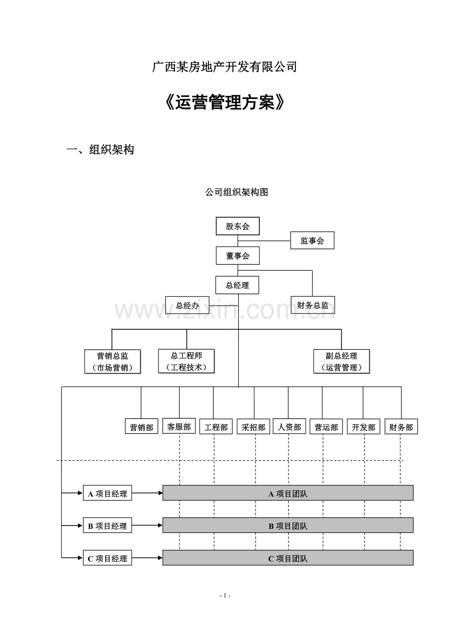 运营管理方案(新).doc_第1页